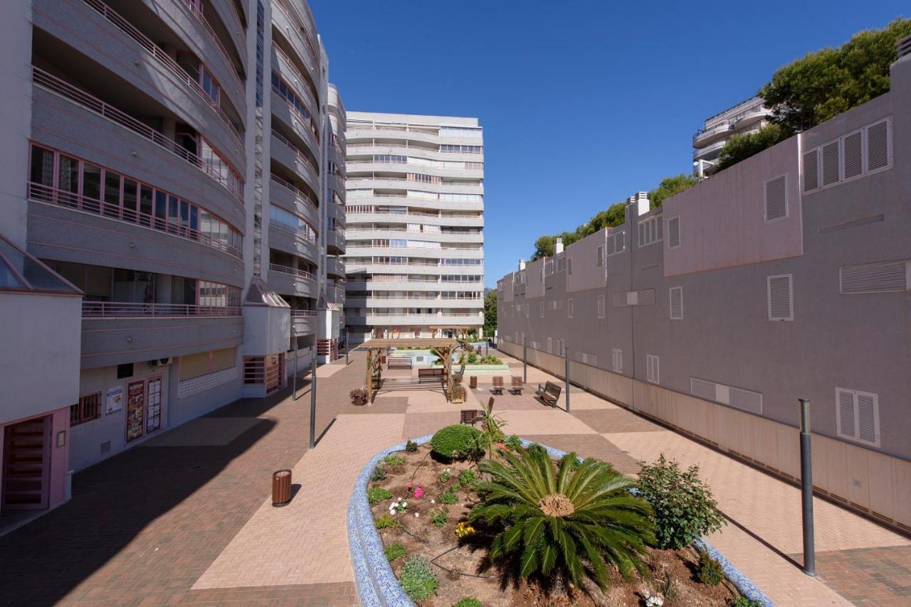 Nuevo Mexico C 351 Calpe